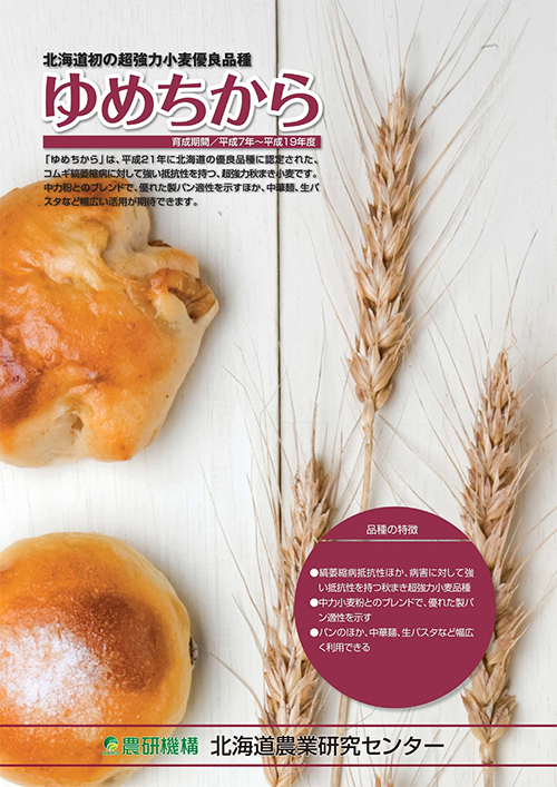 北海道農業研究センター:超強力小麦「ゆめちから」 | 農研機構