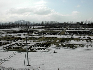 雪解けの様子