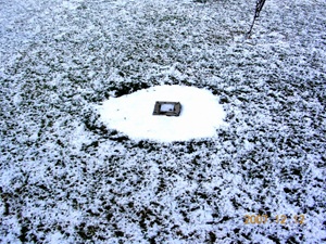 凍上で浮き上がる積雪深計のプレート