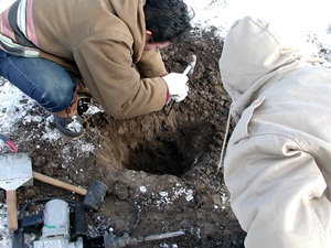 土壌凍結の掘り出し
