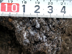 土壌凍結
