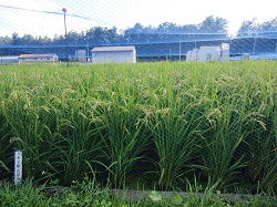 5年2組