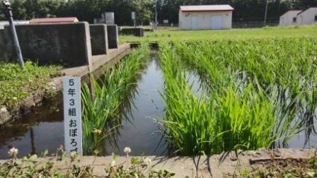5年3組
