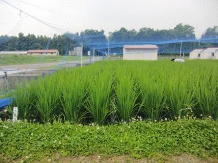 5年3組