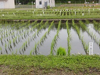 5年2組