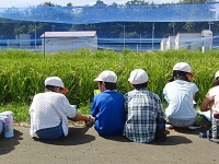 生育観察会の様子