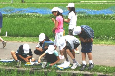 自然観察会の様子