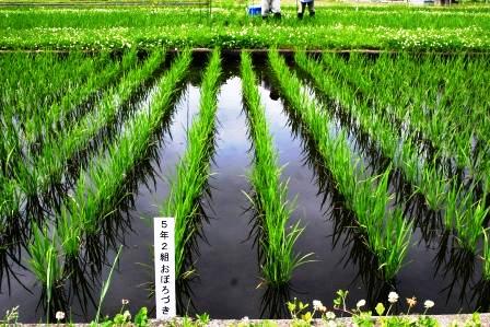 5年2組