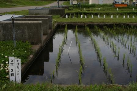 5年3組