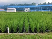 5年1組