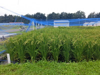 5年2組