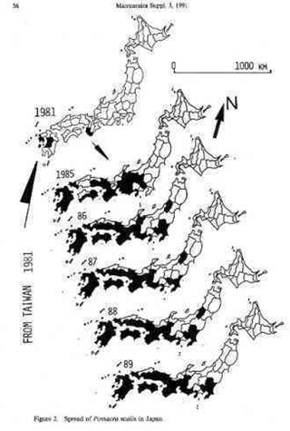 国内におけるスクミリンゴガイの分布拡大 (Mochida, 1991)