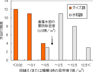 田植え時の貝密度