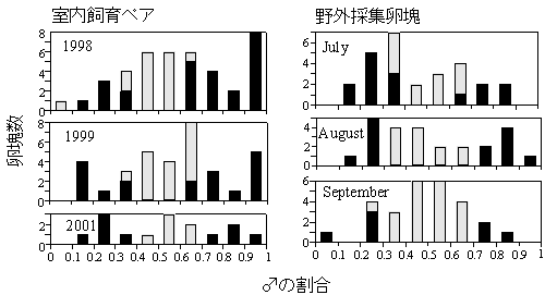 図1.孵化貝(最大80個体)に占める雄の割合(性比)の卵塊ごとの頻度分布.黒い部分は二項検定で性比が0.5より有意(P<0.05)に異なる卵塊を示す 