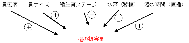 稲の被害量に影響を与える要因.+は正の効果(大きくなると被害が増大)、 -は負の効果(大きくなると被害が減少)を表す