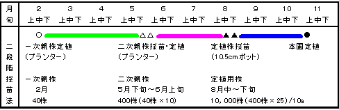 図4沖縄における‘さちのか’の育苗体系
