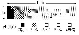 図10 ある圃場内の表土pHの分布