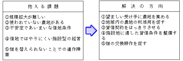 図1 現地が抱える問題とその解決方向