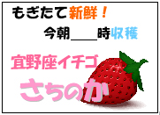 図2 収穫時刻表示シール