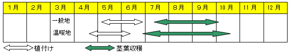 植え付け・収穫表