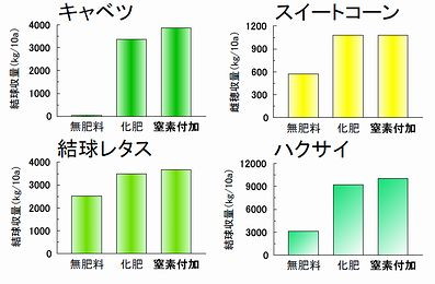 図1―1窒素付加堆肥を施用して栽培した野菜の収穫物収量 図1―2ハクサイ栽培期間中の窒素付加堆肥からの窒素溶出率と期間中の降水量