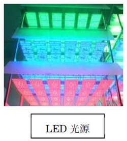 LED 光源