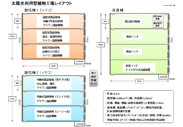 【太陽光利用型】イチゴ