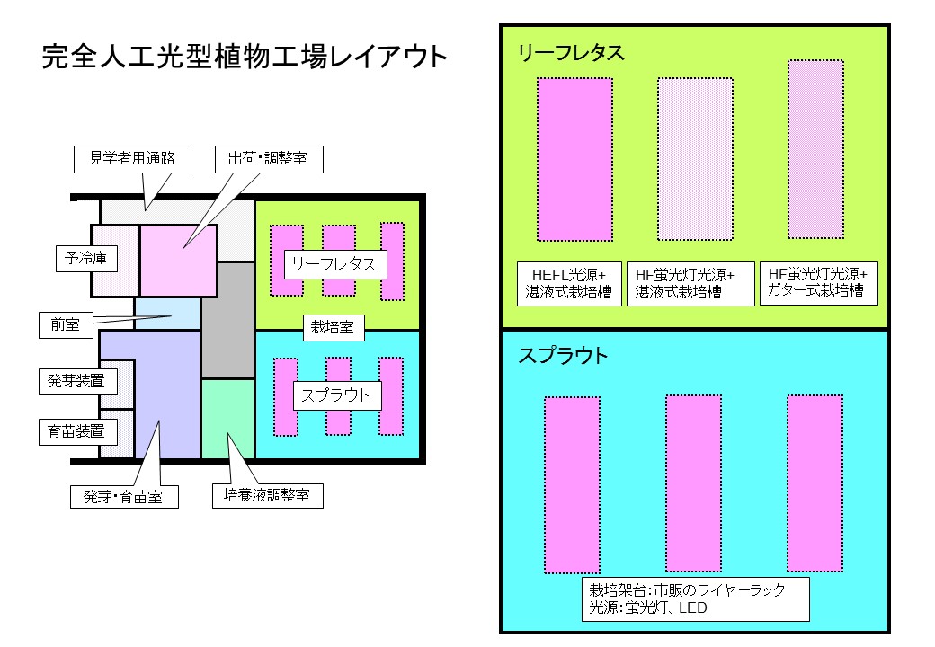 【完全人工光型】レタス・スプラウト類