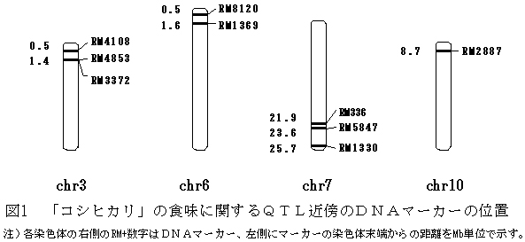 図1