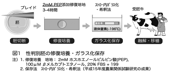 図1