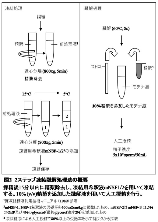 図2