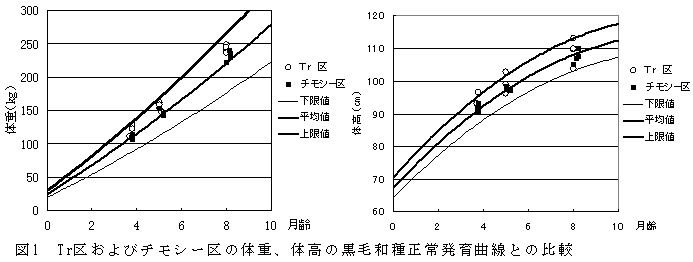 図1