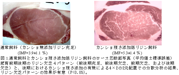 図1