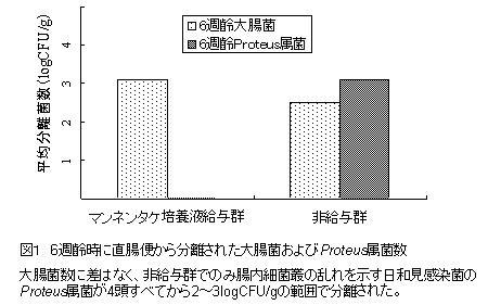 図1