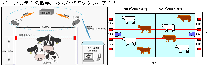 図1