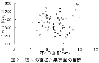 図2