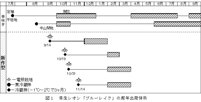 図1