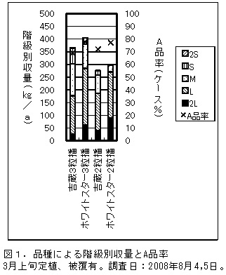 図1