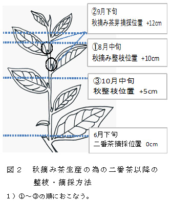 図2