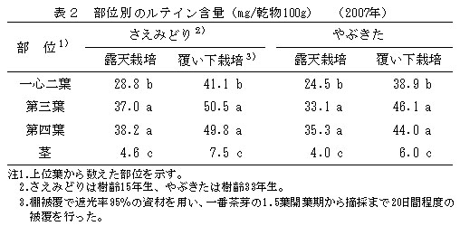 表2