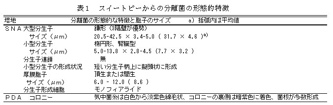 表1