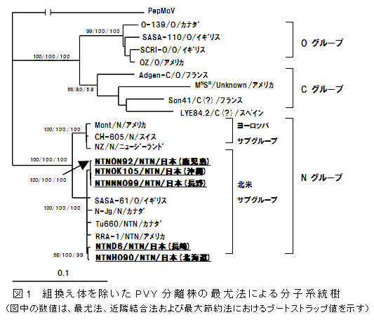 図1