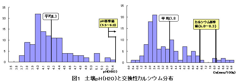 図1