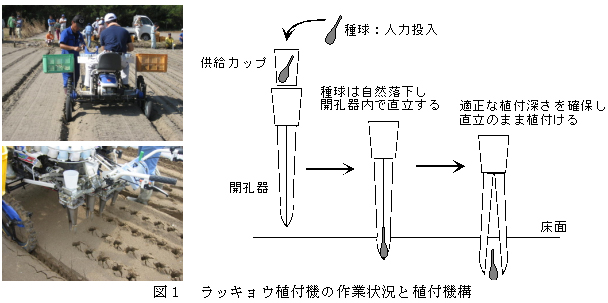 図1