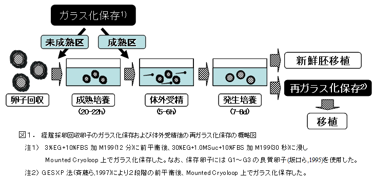 図1