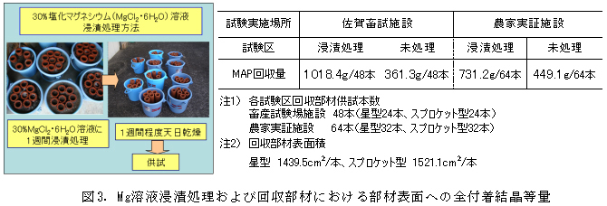 図3