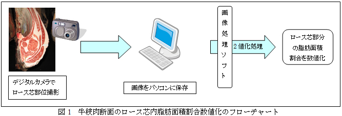 図1