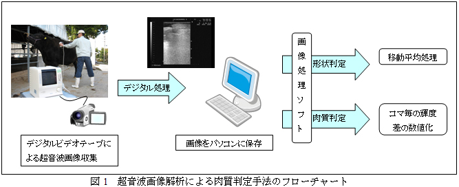 図1