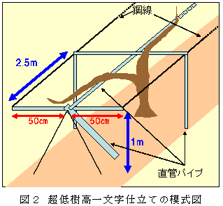 図2