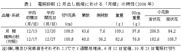 表1